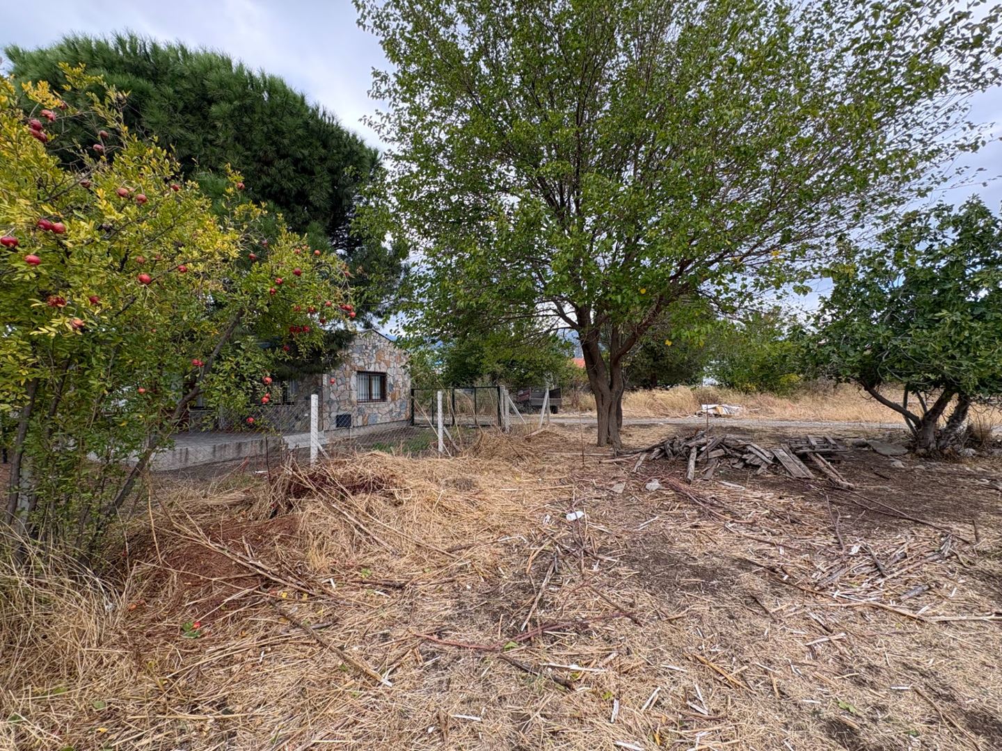 Property-photo