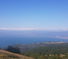 İZNİK GÖLÜ MANZARALI 12 DÖNÜM MUHTEŞEM ÇİFTLİK ARAZİSİ!