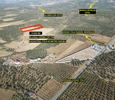 ALTIN EMLAKTAN AYVALIK KOZAK YOLUNA 600 M. 10.094 M2 ZEYTİNLİK