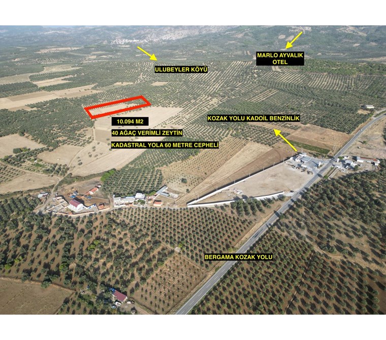 ALTIN EMLAKTAN AYVALIK KOZAK YOLUNA 600 M. 10.094 M2 ZEYTİNLİK