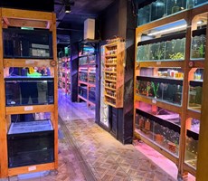 THE LARGEST FISH AND REPTILE SHOP IN IZMIR IS AVAILABLE FOR LEASE.