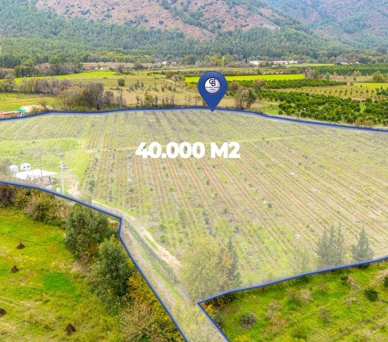  KÖYCEĞİZ TOPARLAR'DA MÜSTAKİL TAPULU 40 DÖNÜM TARLA