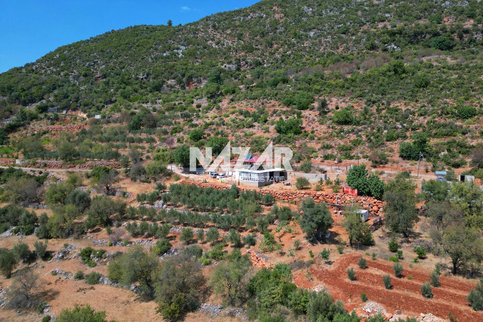Property-photo