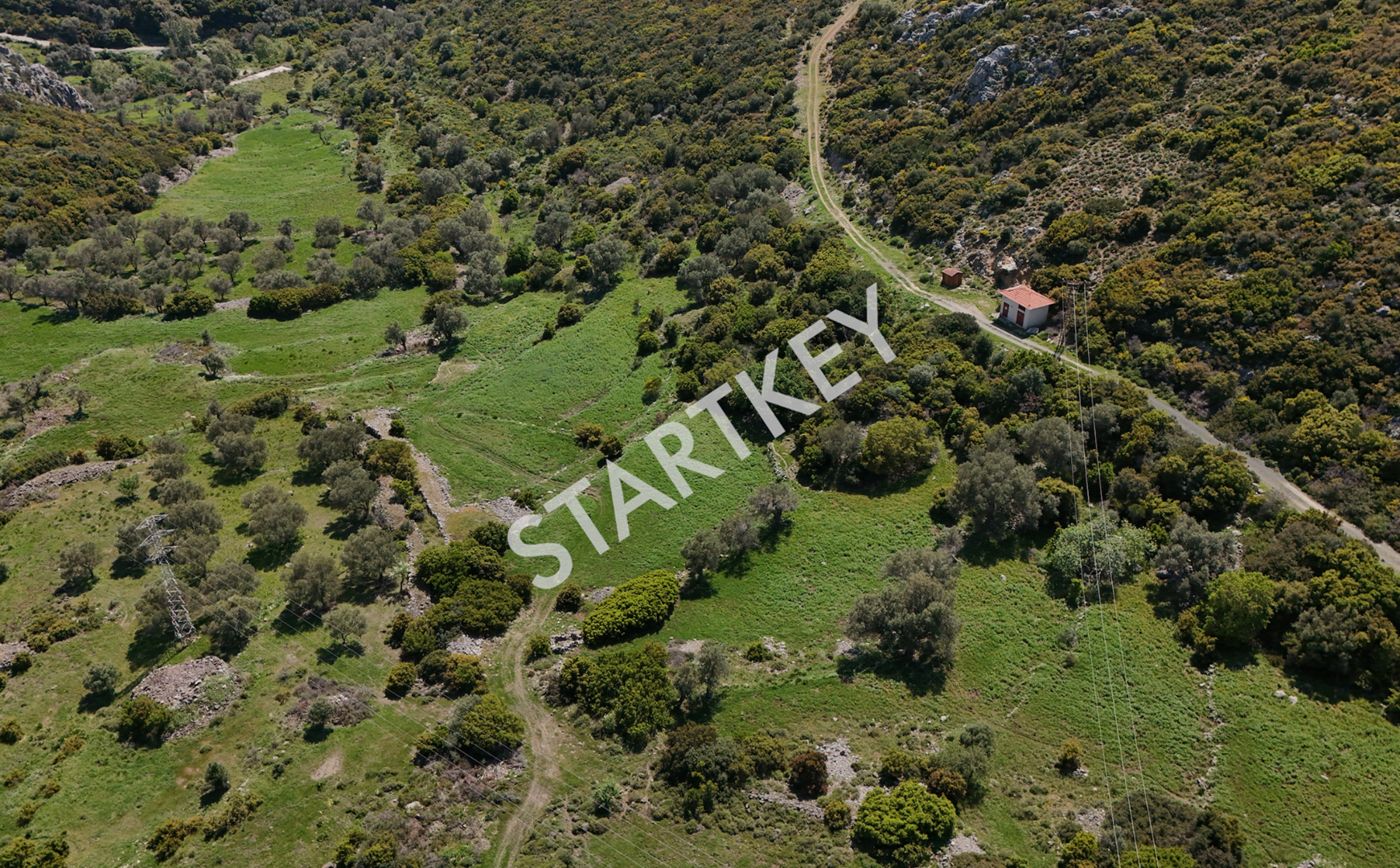 Property-photo