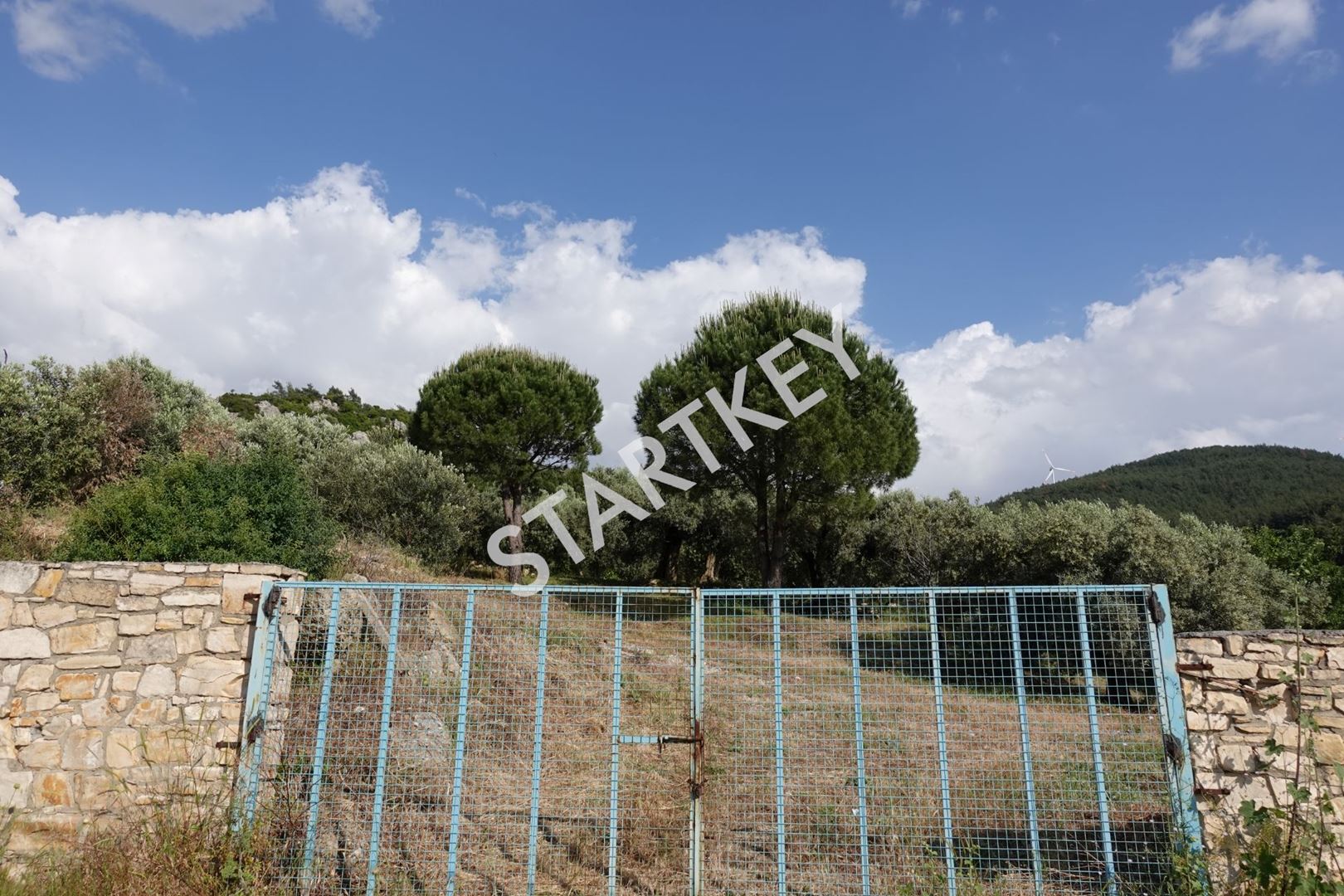 Property-photo