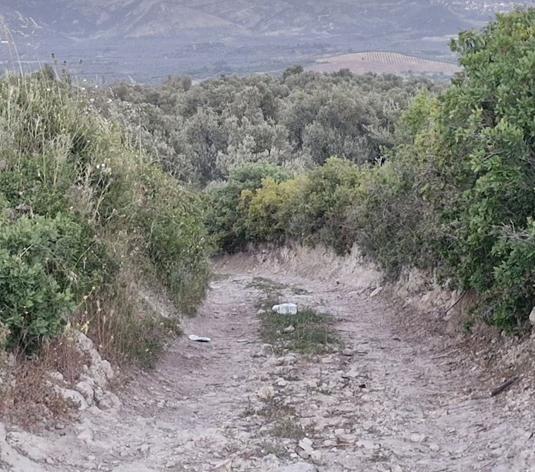 ALTIN EMLAKTAN AYVALIK MUTLUKÖYDE SATILIK4650 M2 ZEYTİ