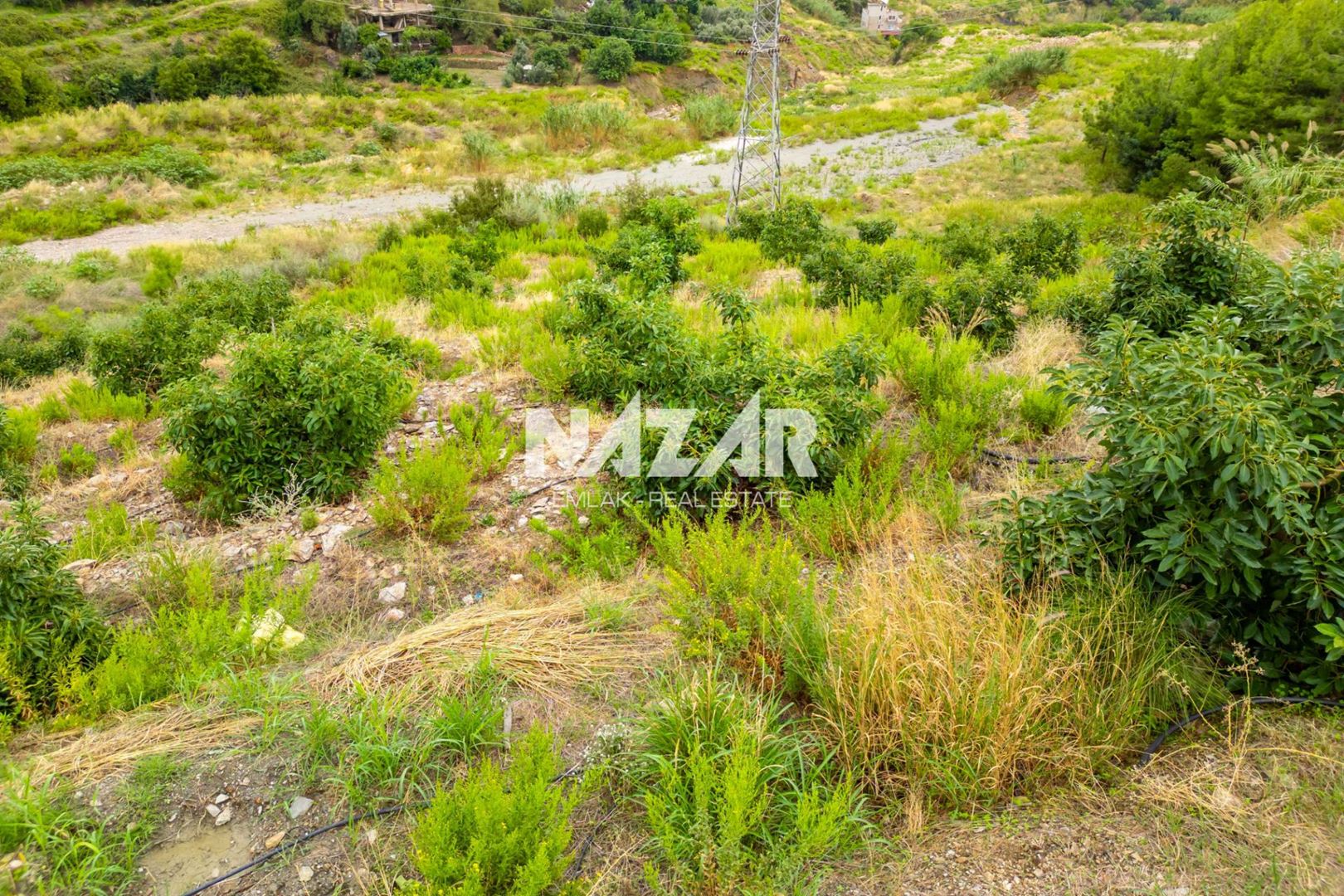 1,000 m² Plot with Sea Views in Alanya Tepe, Zoned for Residential Development · 15
