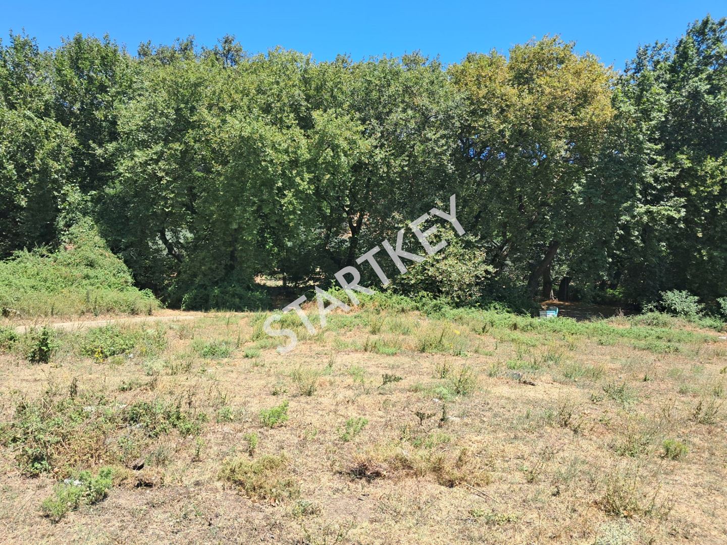 Property-photo