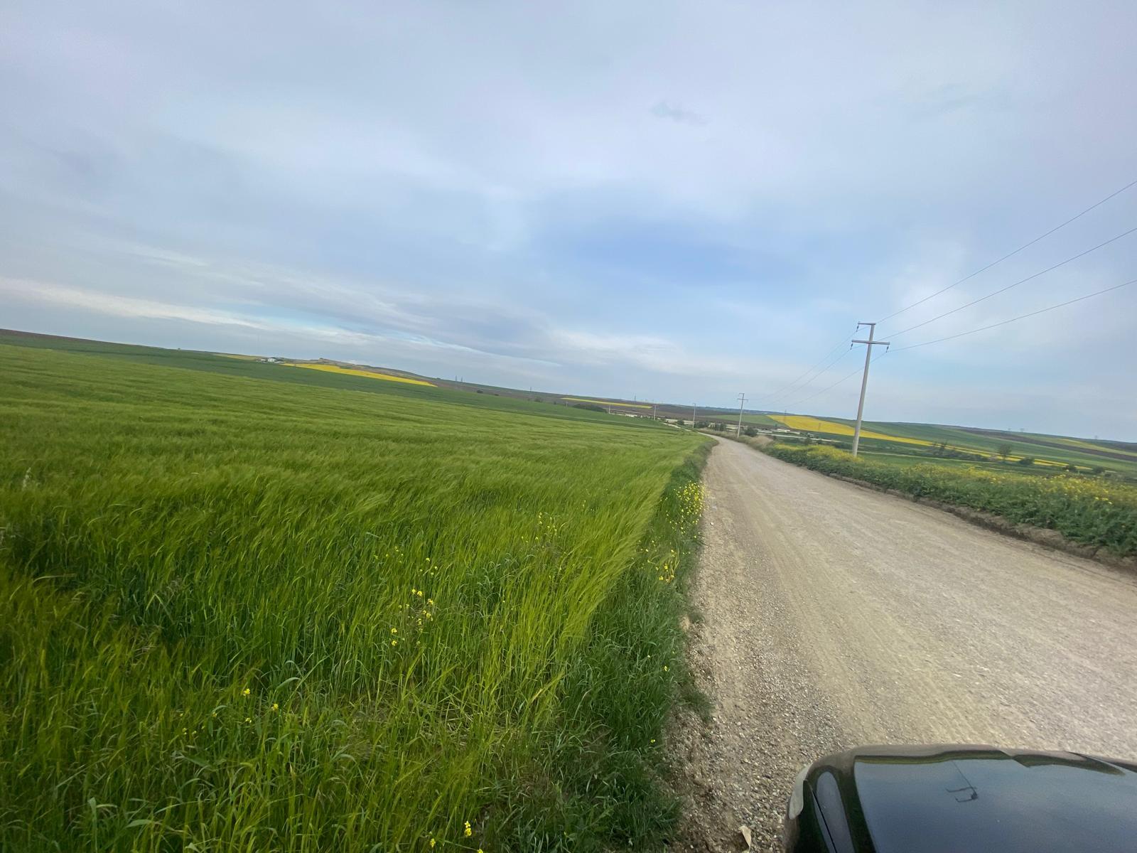 Property-photo