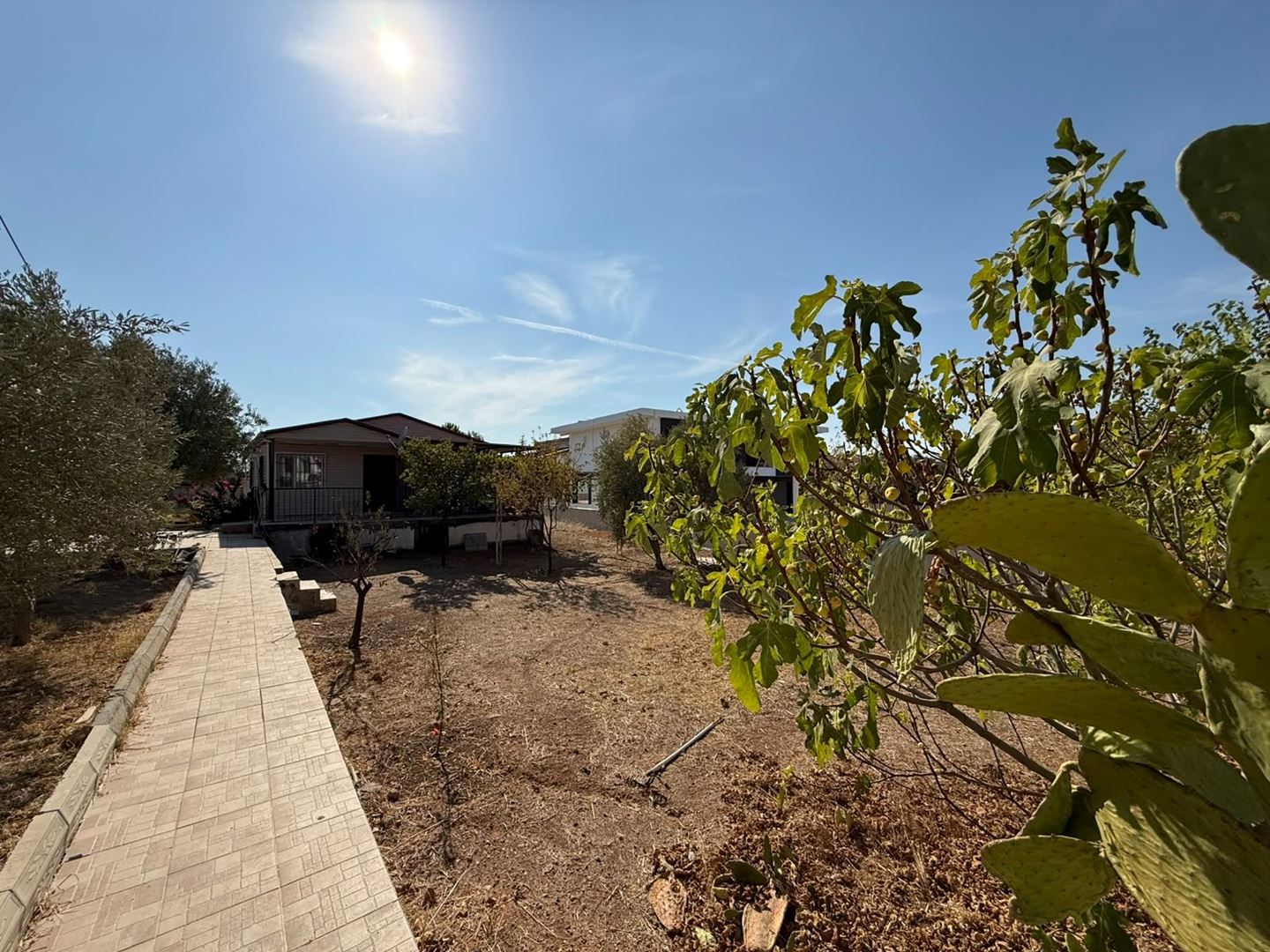 Property-photo