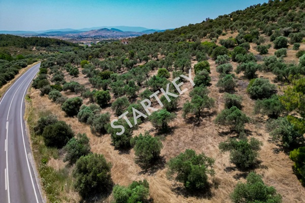 Property-photo
