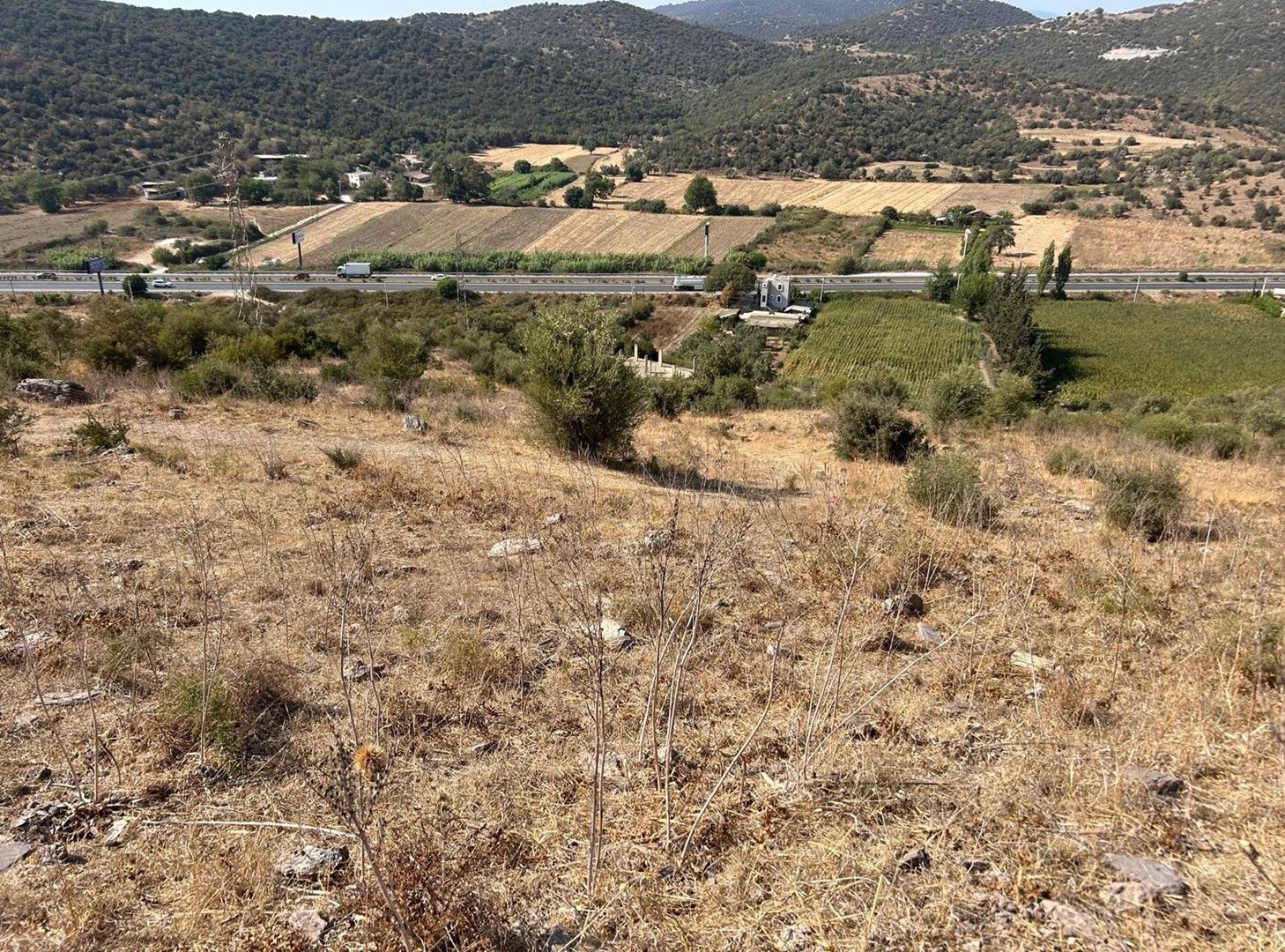 Property-photo