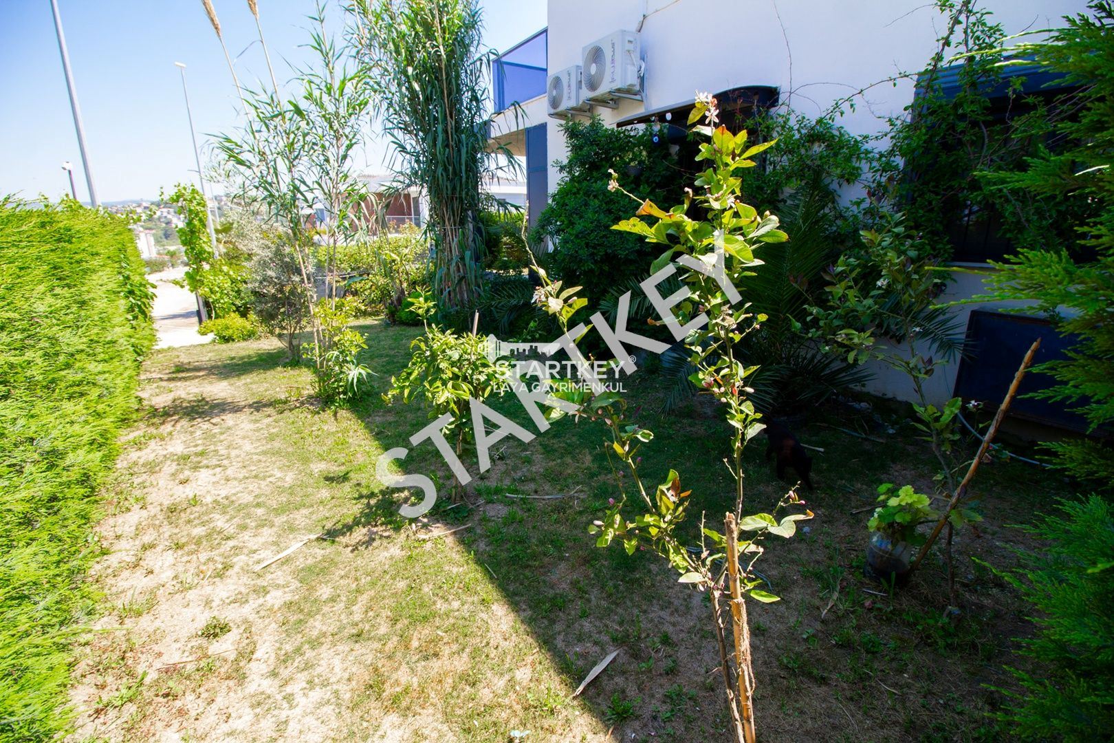 Property-photo