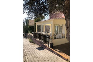 property-1