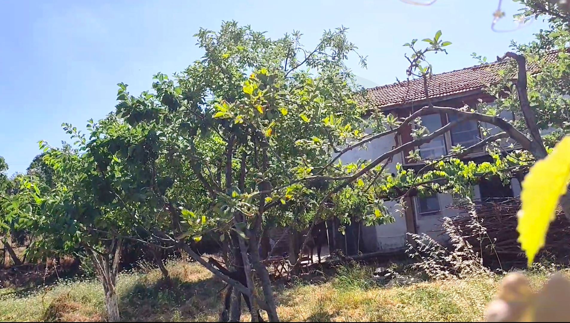 Property-photo