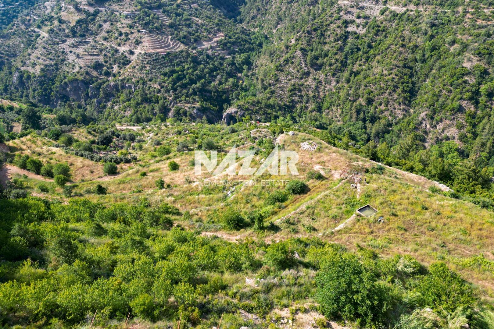 Property-photo