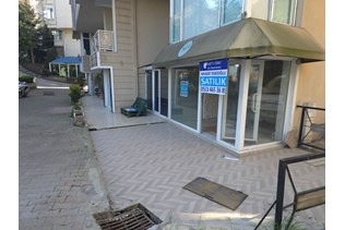 property-1