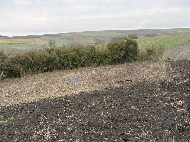 TEKIRDAĞ SÜLEYMANPAŞA OSMANLI KÖYÜ’NDE 89.240 M² SATILIK TARLA