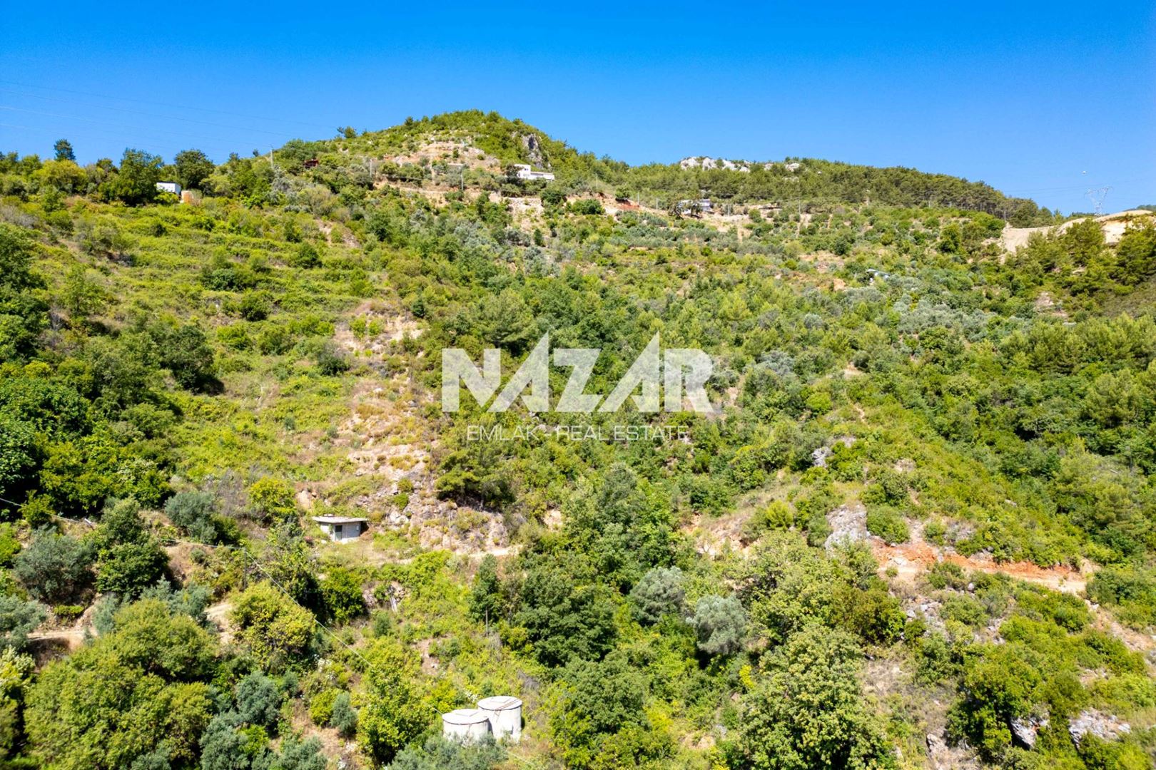 Property-photo