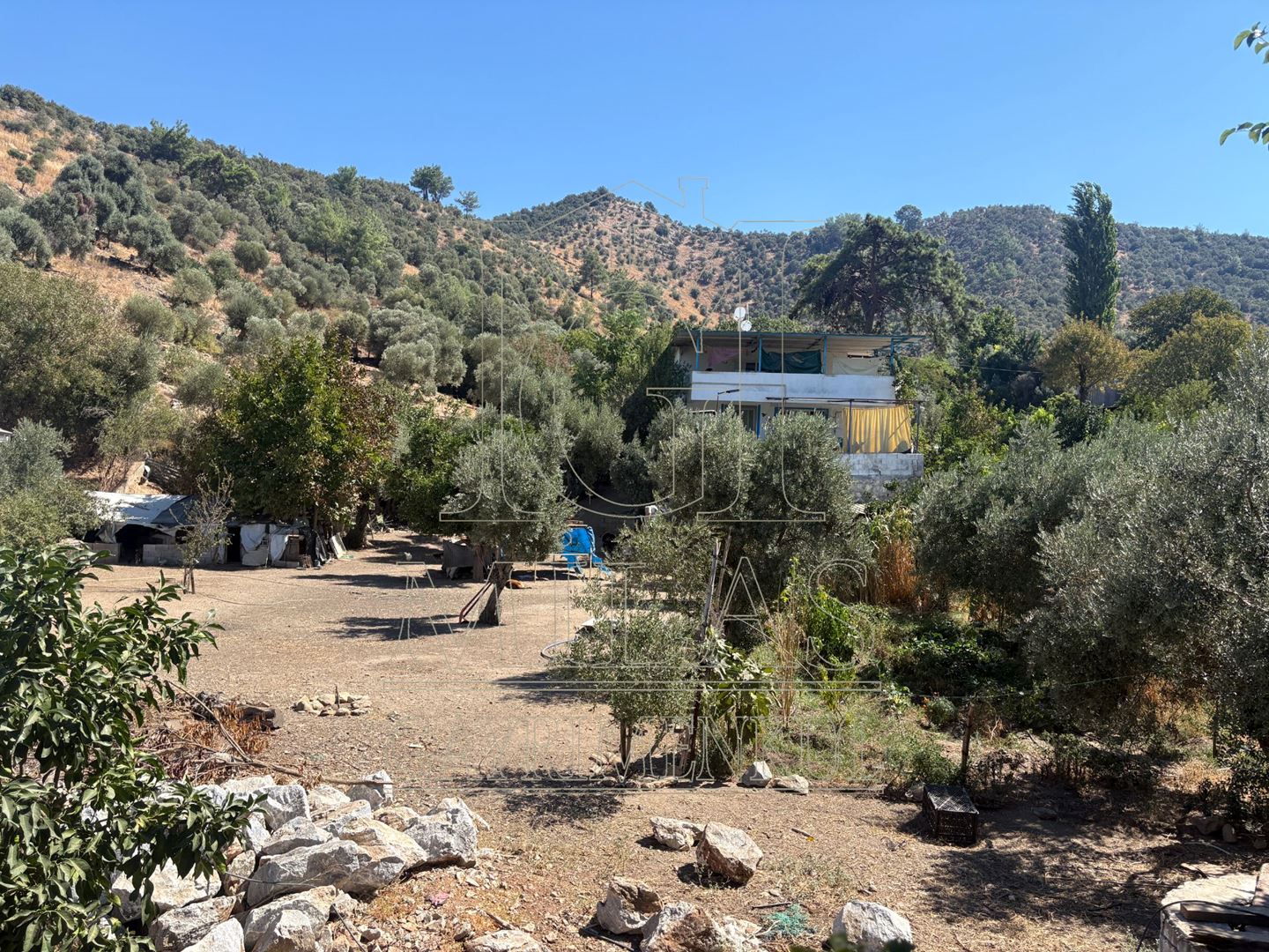 Property-photo