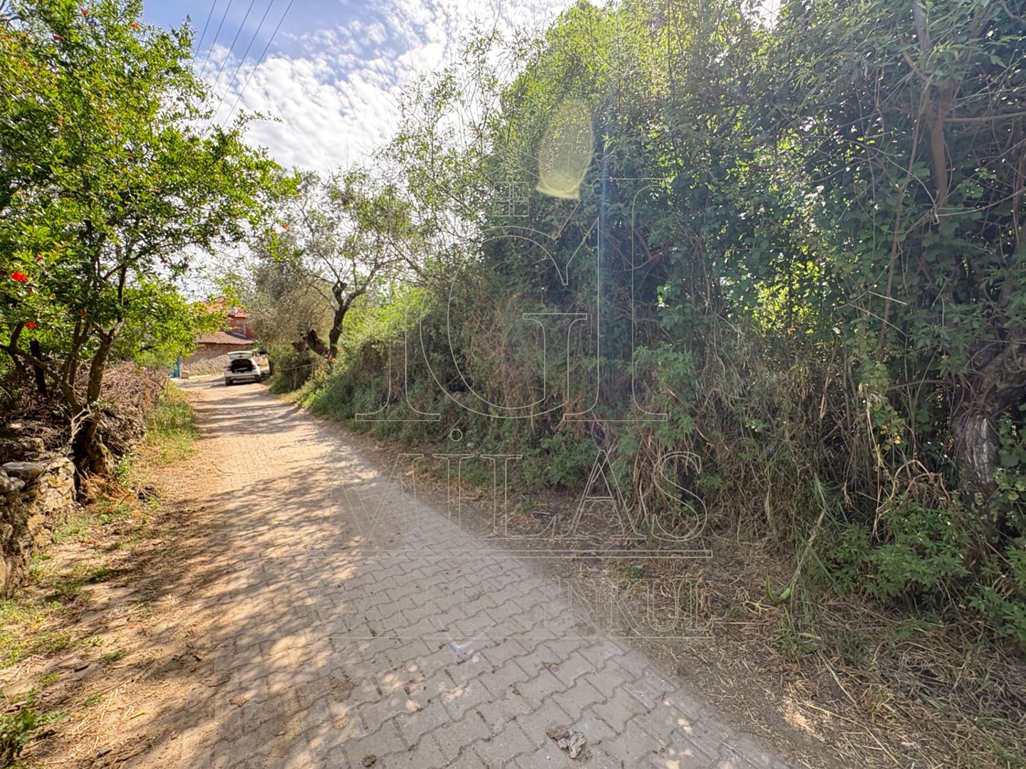 Property-photo