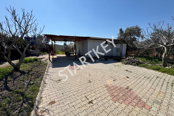 Property-photo