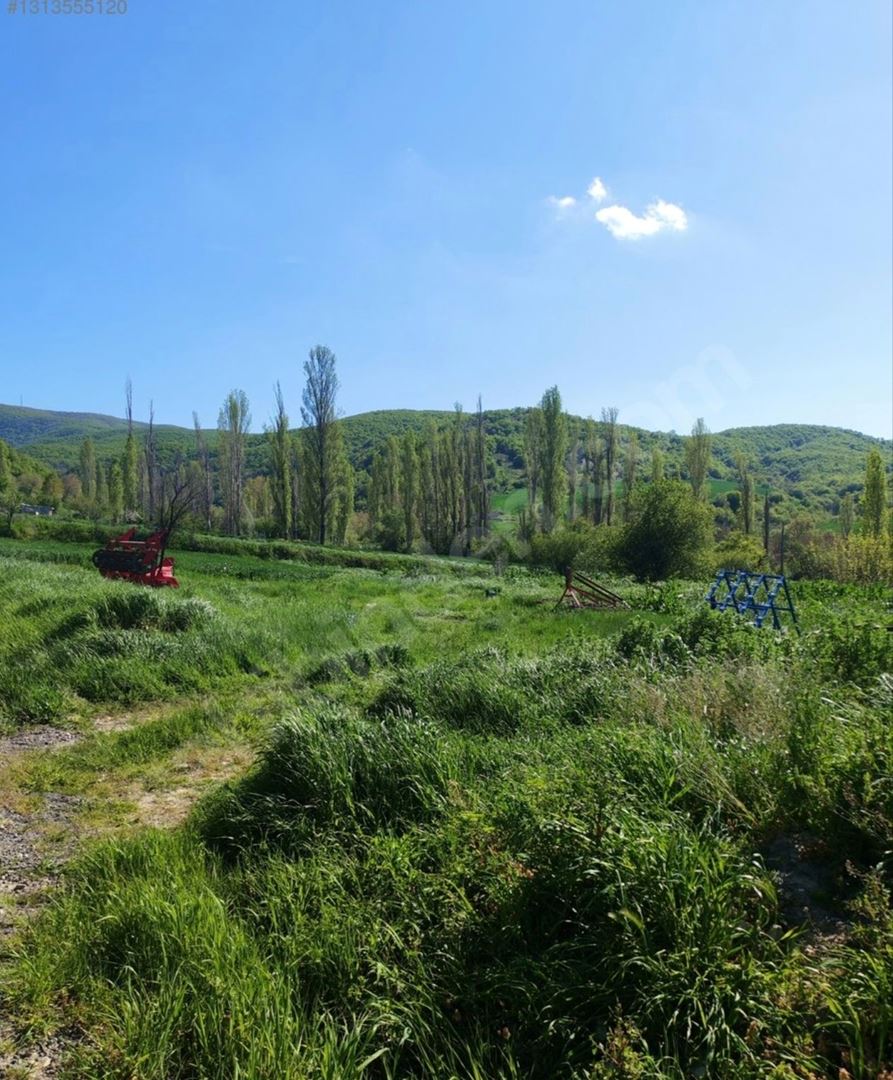 Property-photo