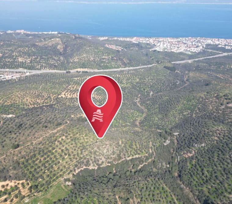 ALTIN EMLAKTAN BURHANİYE PELİTKÖYDE SATILIK 12.960 M2 ZEYTİNLİK