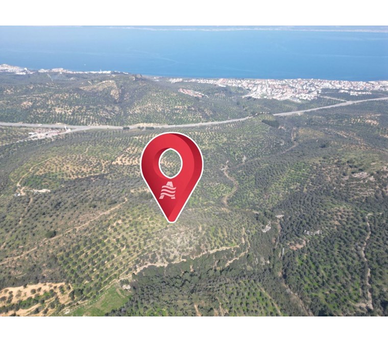 ALTIN EMLAKTAN BURHANİYE PELİTKÖYDE SATILIK 12.960 M2 ZEYTİNLİK