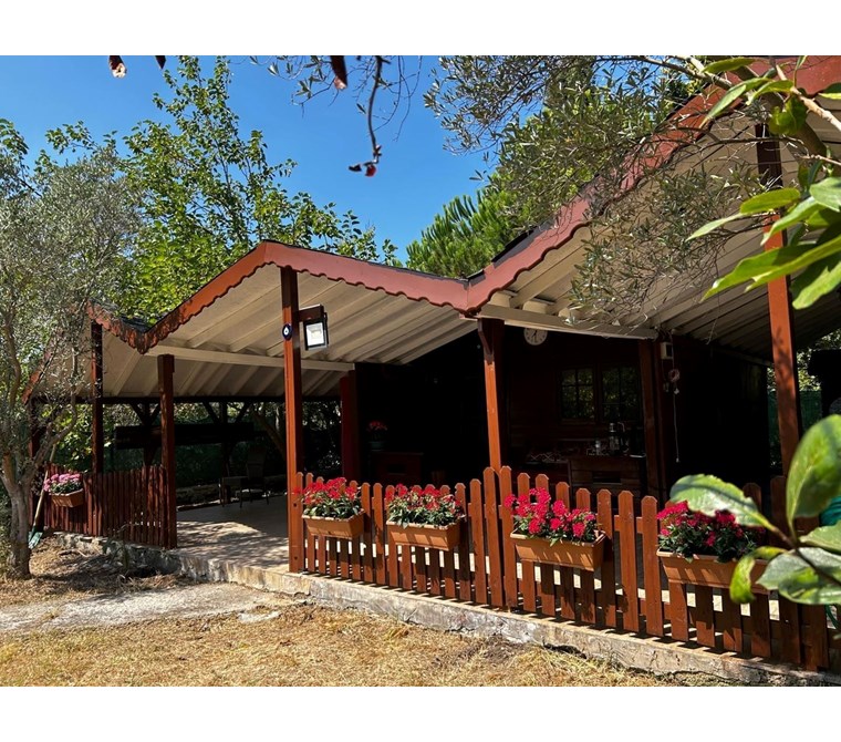 Gümüşdere’de Doğayla İç İçe, Müstakil Ahşap Evli Tarla