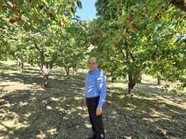 ADANA POZANTI KARAKIŞLAKÇIDA 12 DÖNÜM SATILIK BAHÇE