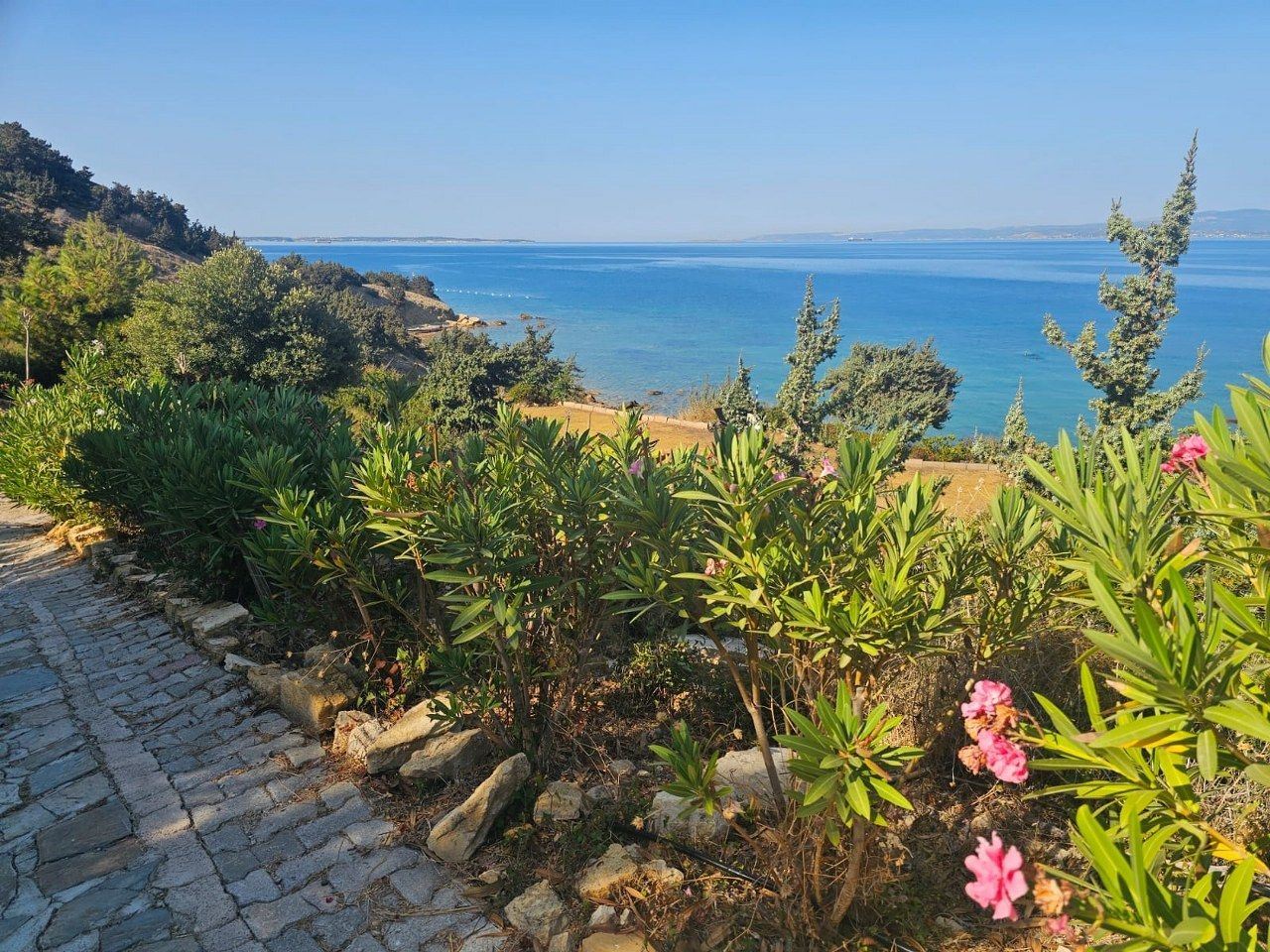 Property-photo