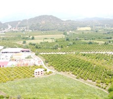 Köyceğiz beyobası %5 imarlı 6462 m2 arazi SATILIK