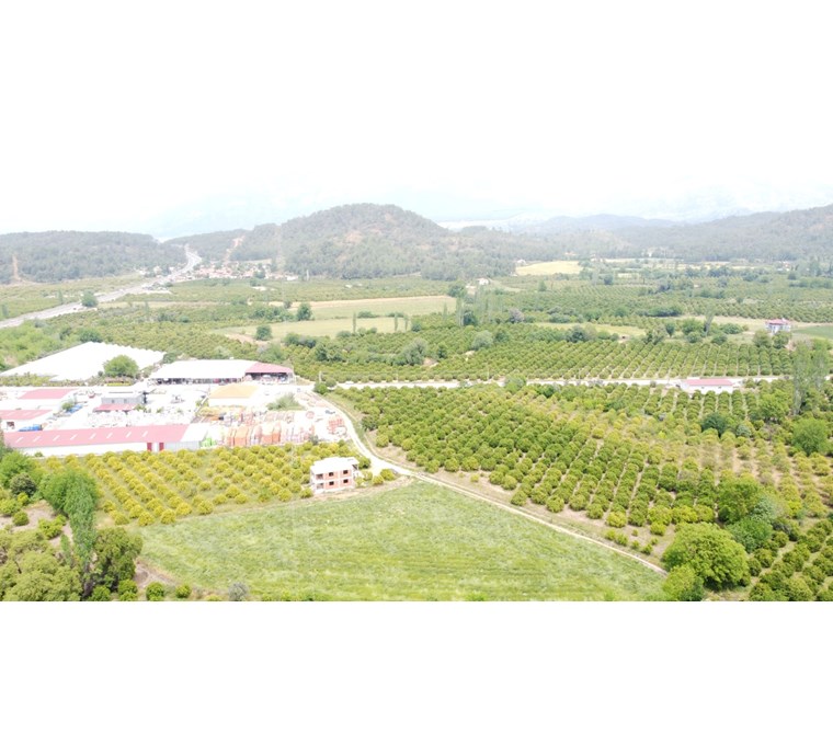 Köyceğiz beyobası %5 imarlı 6462 m2 arazi SATILIK
