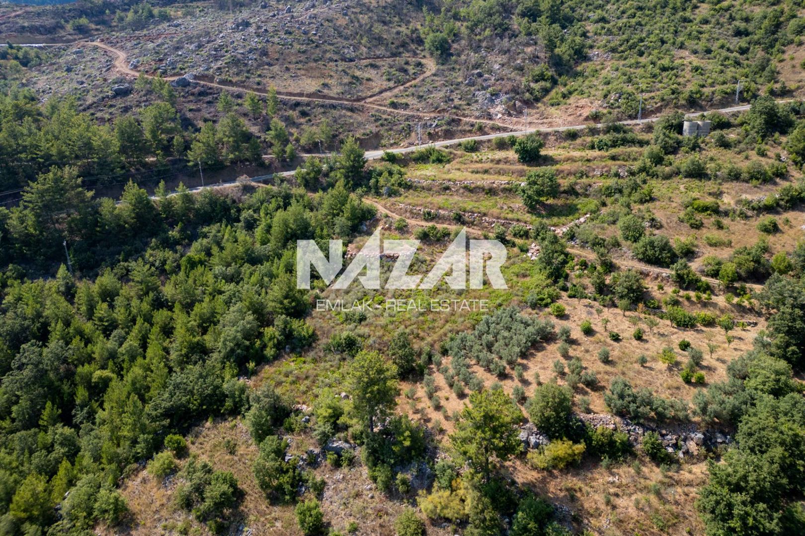 Property-photo