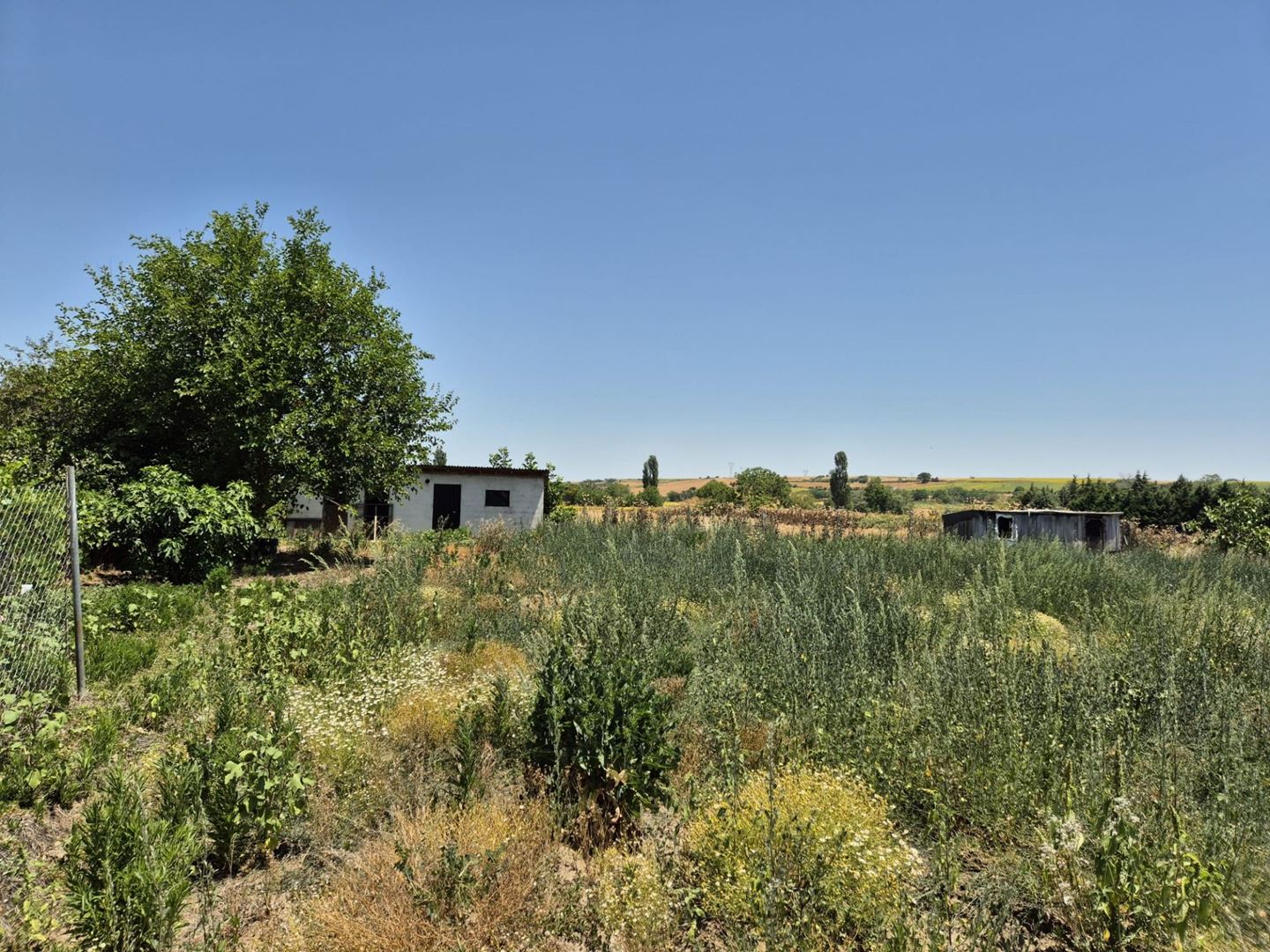 Property-photo