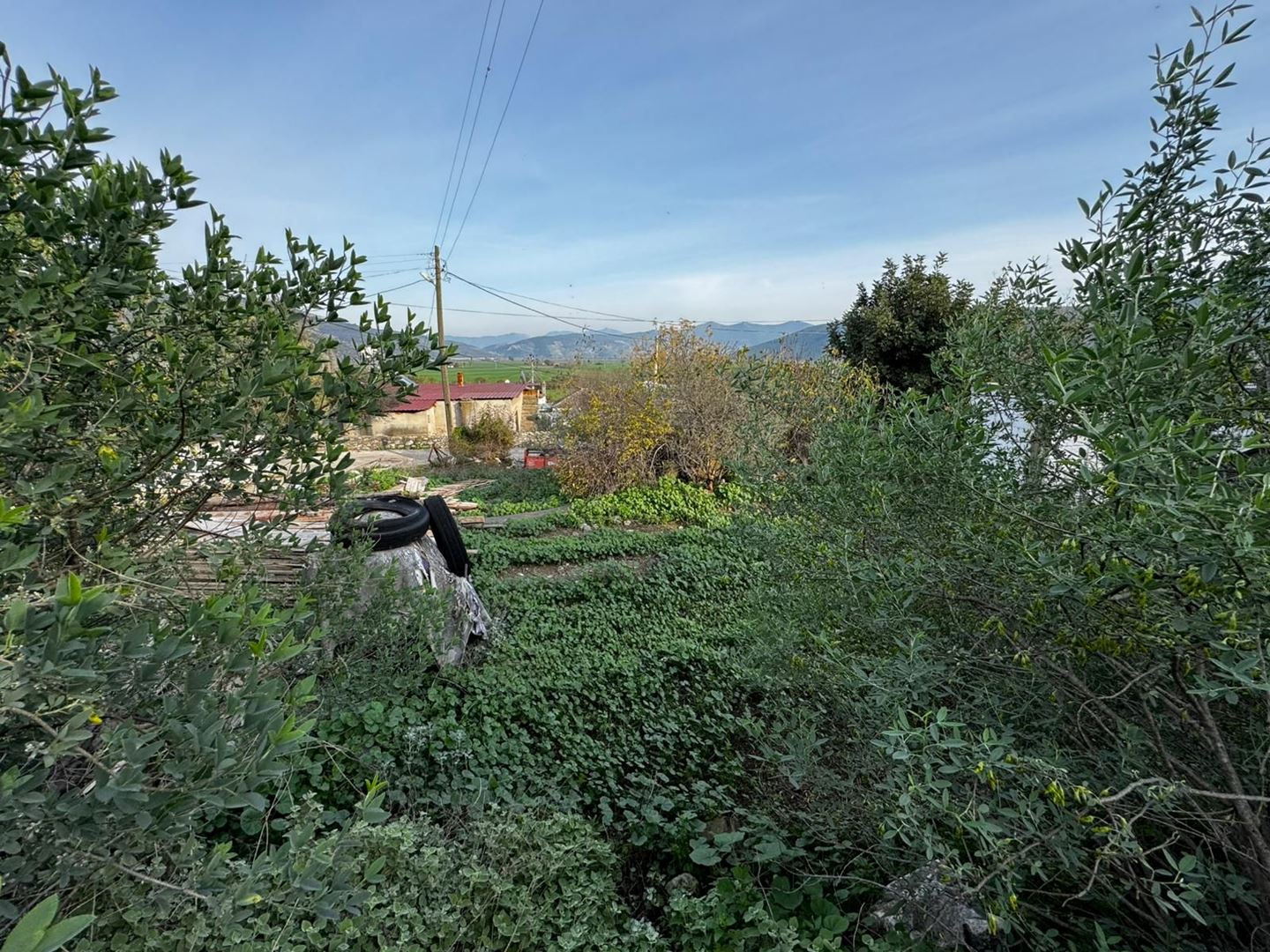 Property-photo
