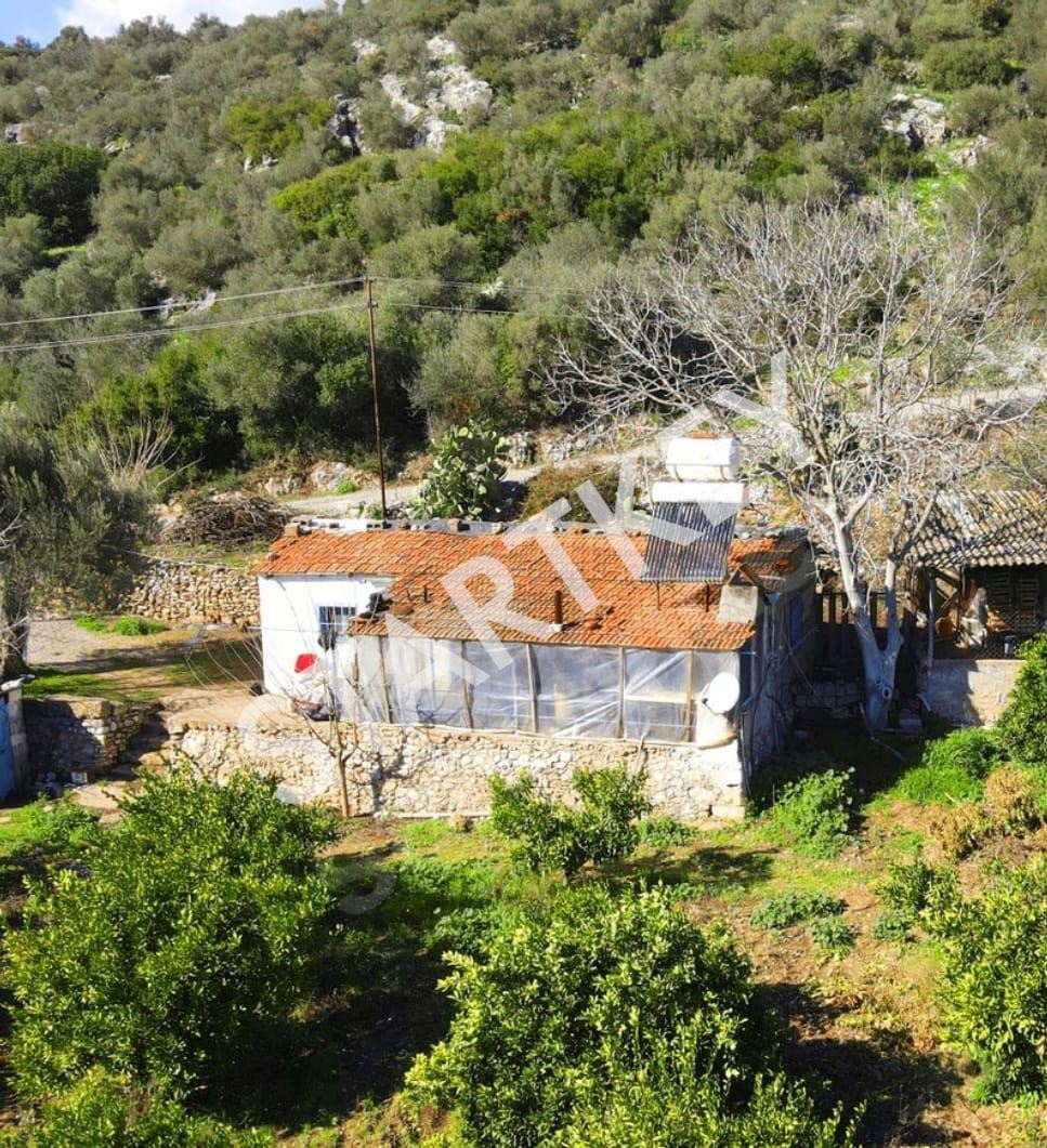 Property-photo