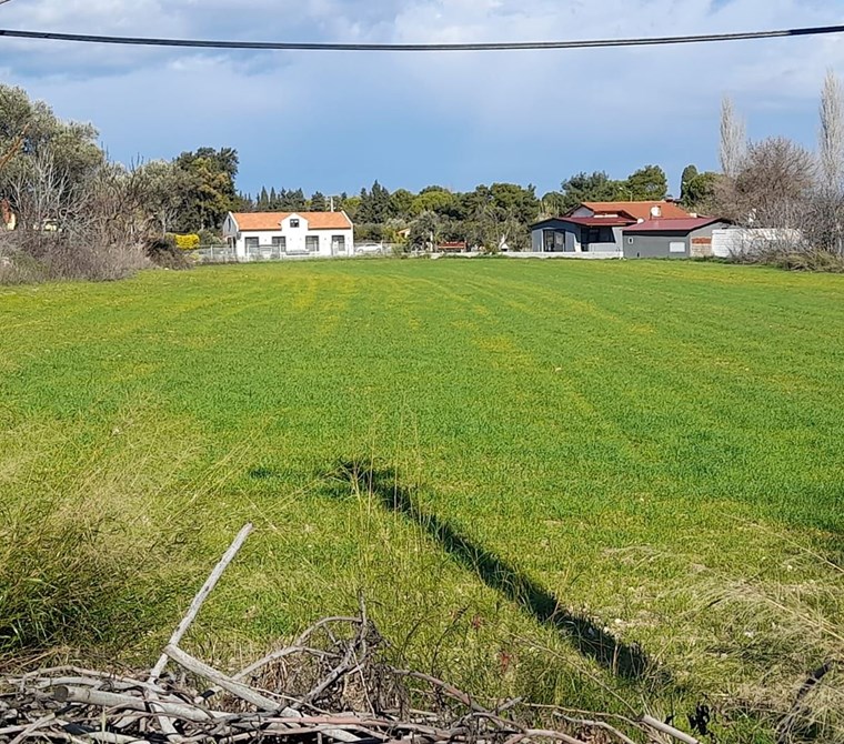 URLA İSKELE AĞAÇLI YOLDA SATILIK TARLA
