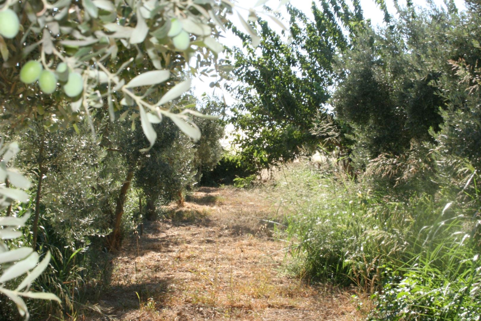 Property-photo