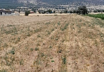 KONYA MERAM SAĞLIK TA 2482 M2 SULAK TARLA ELEKTRİK ALINABİLİR ANTALYA YOLUNA 300 METRE