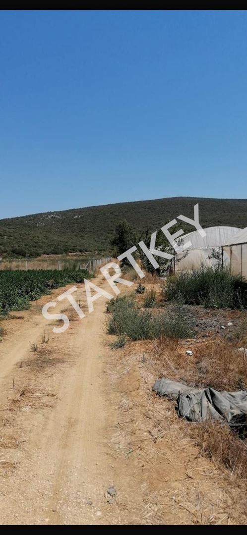 Property-photo