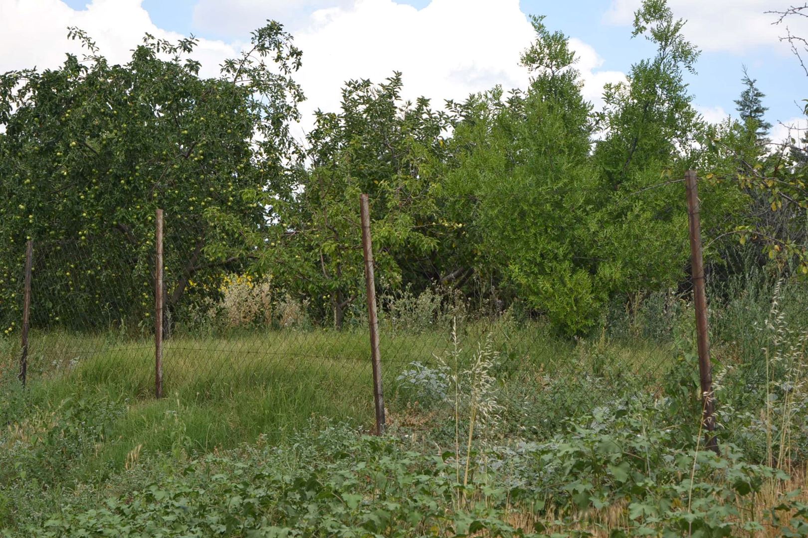 Property-photo