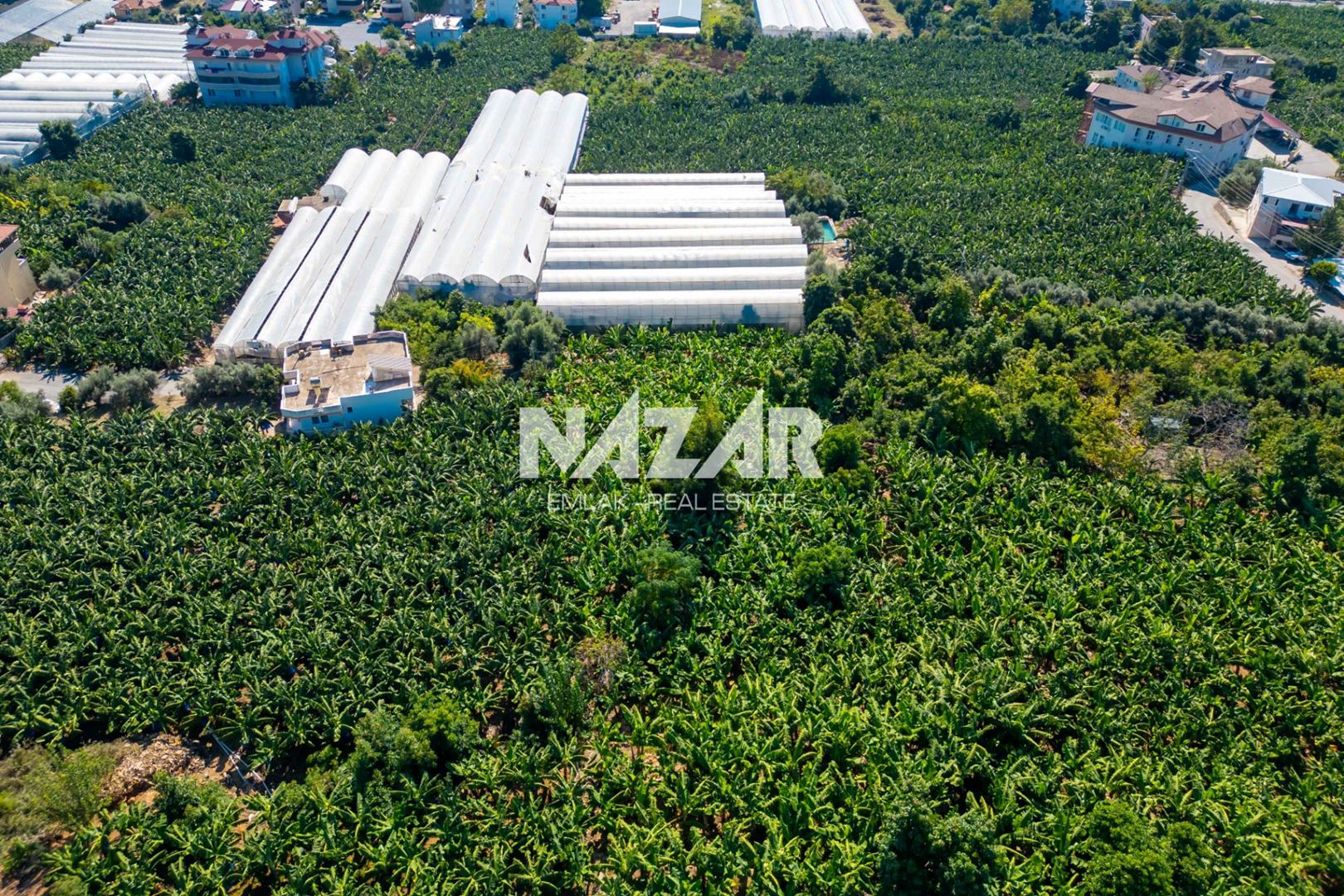 Alanya İshaklı’da 1.665 m2 Deniz Manzaralı Tarla · 10