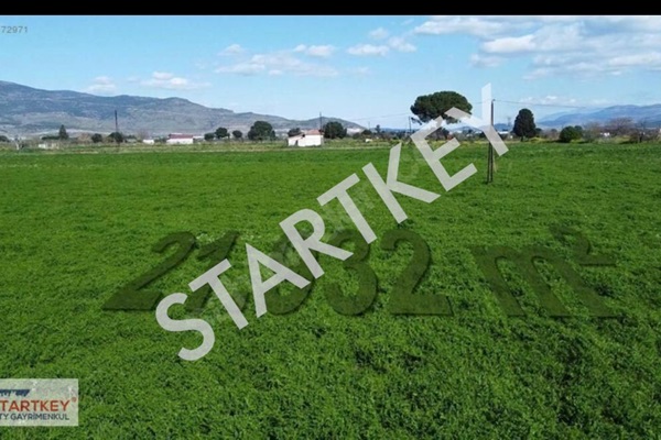 Property-photo