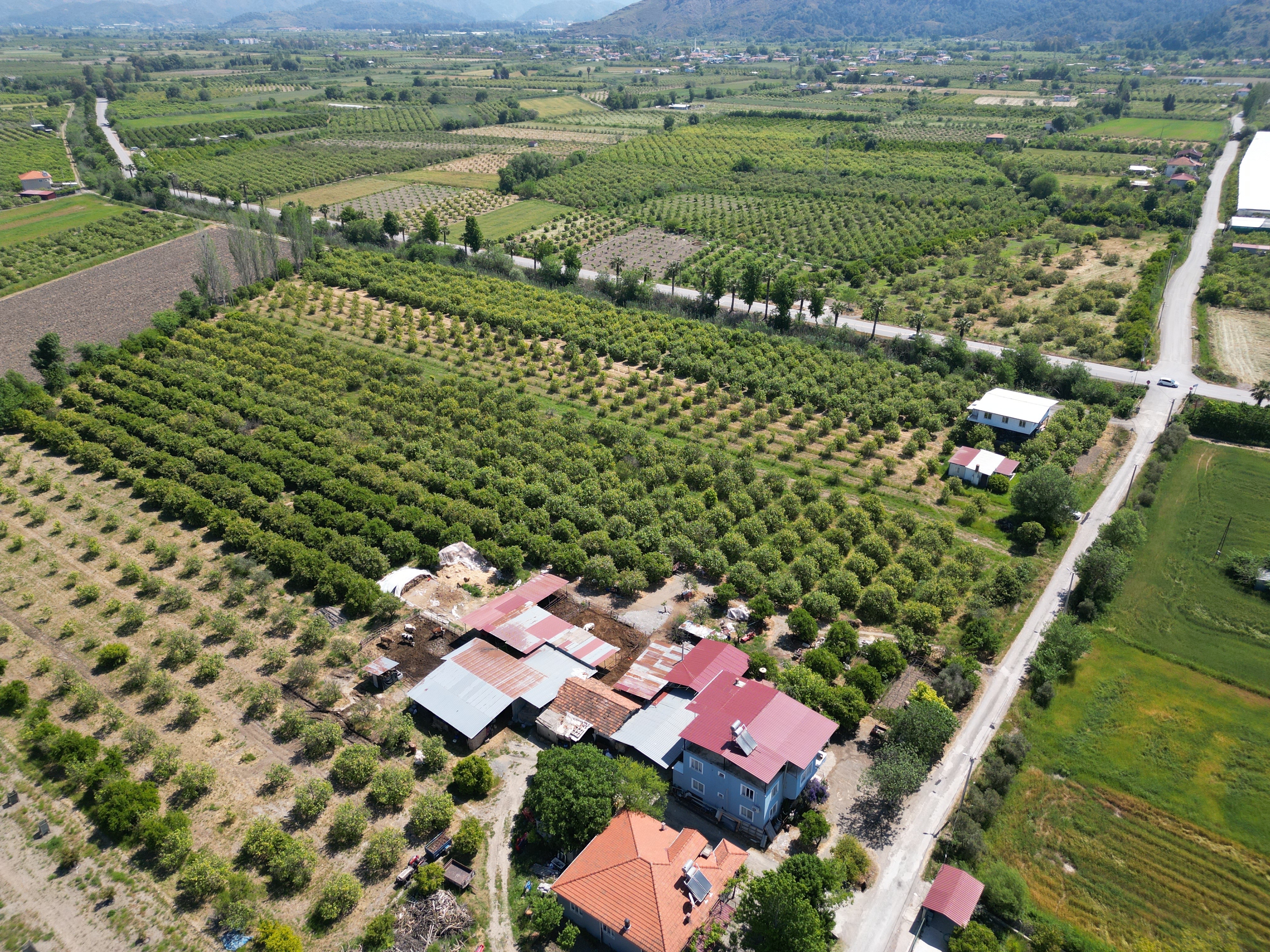 Property-photo