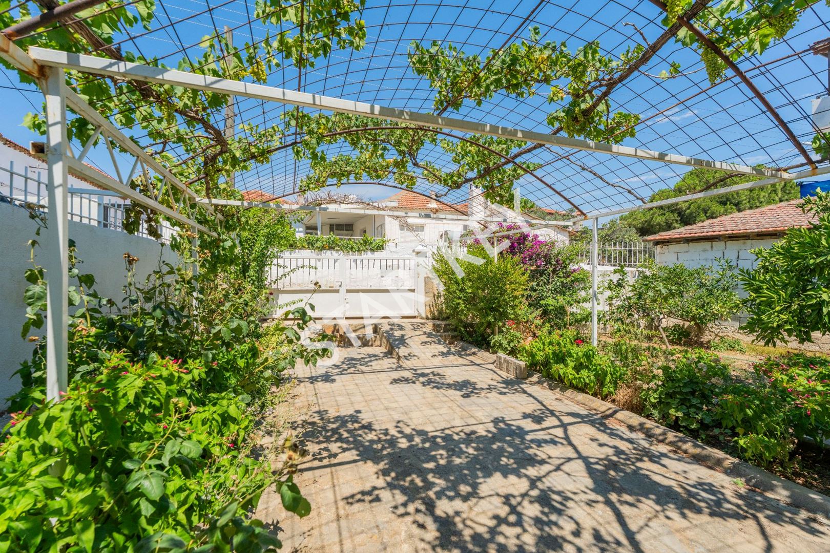Property-photo