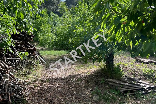 Property-photo