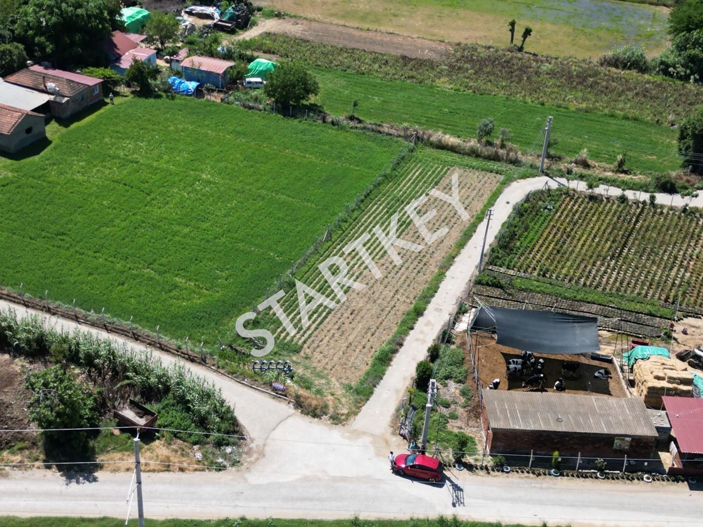 Property-photo