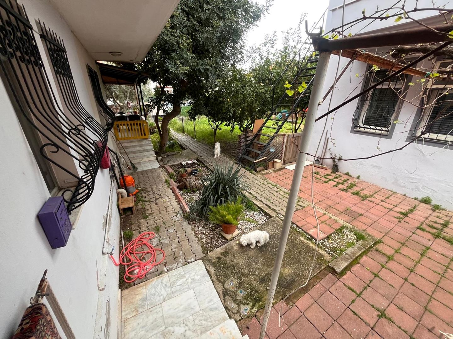 Property-photo